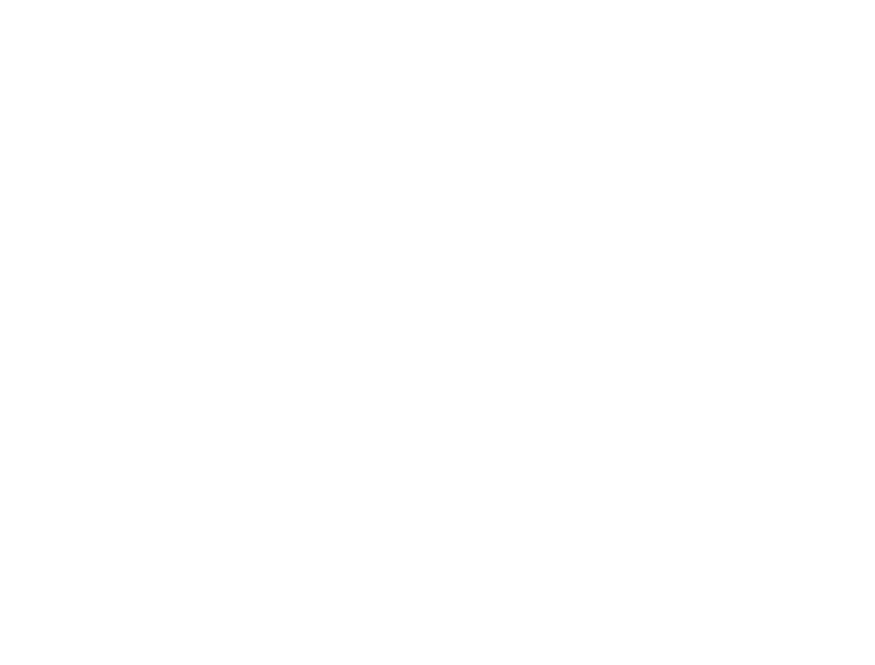 saisei white